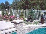 retaining wall and planting in pool area